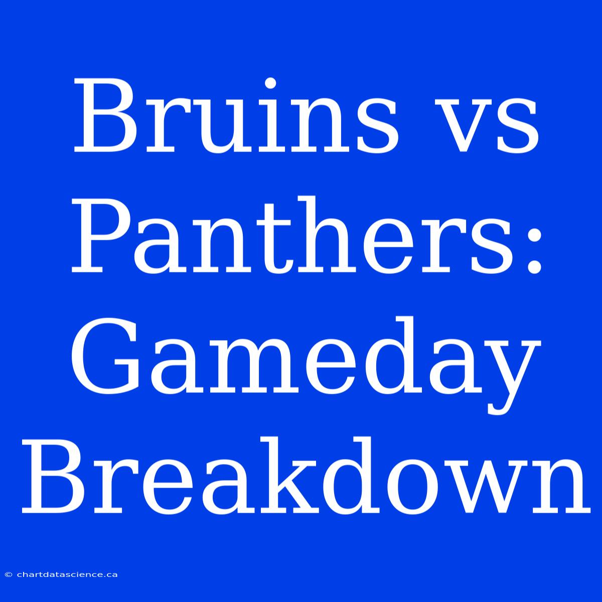 Bruins Vs Panthers: Gameday Breakdown