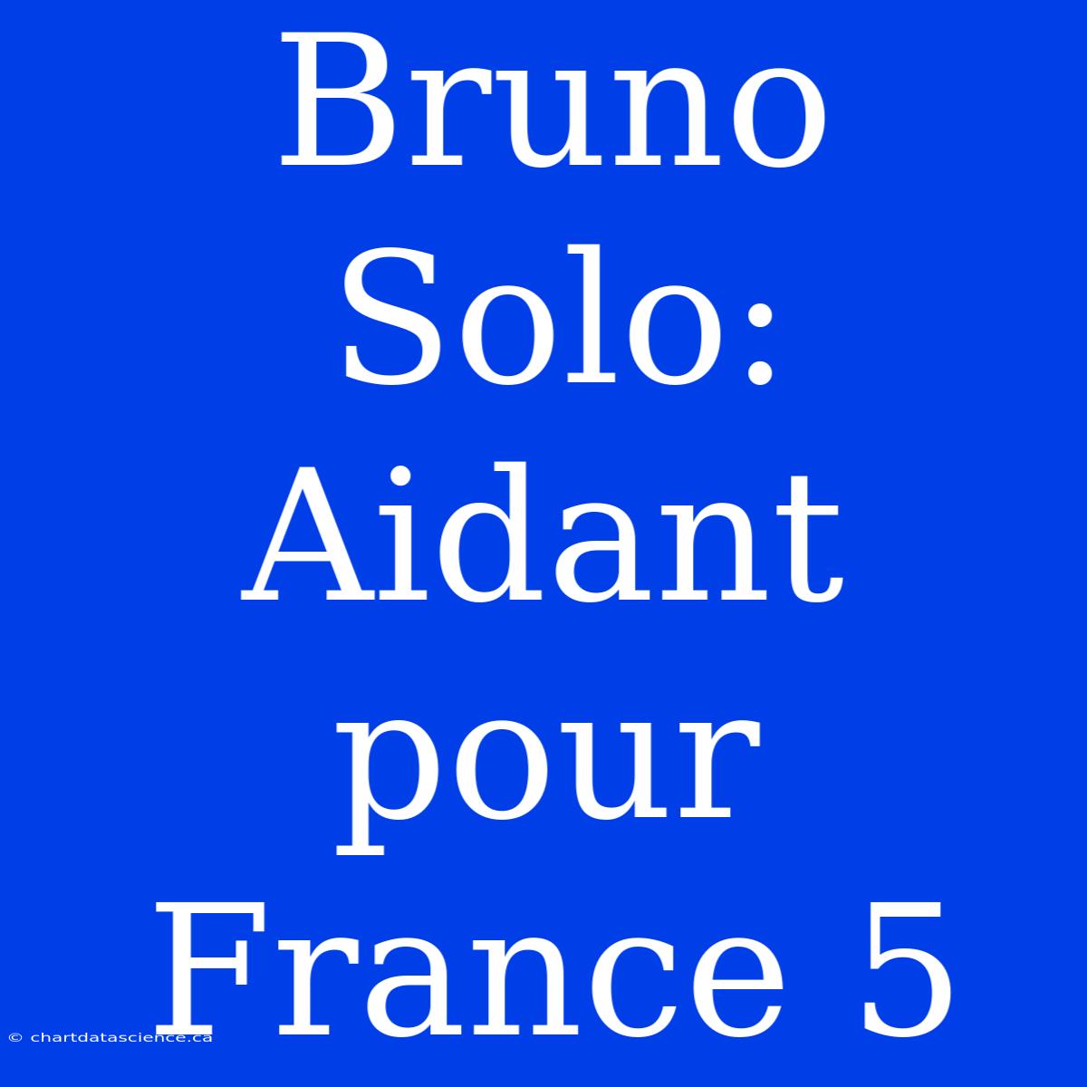 Bruno Solo: Aidant Pour France 5