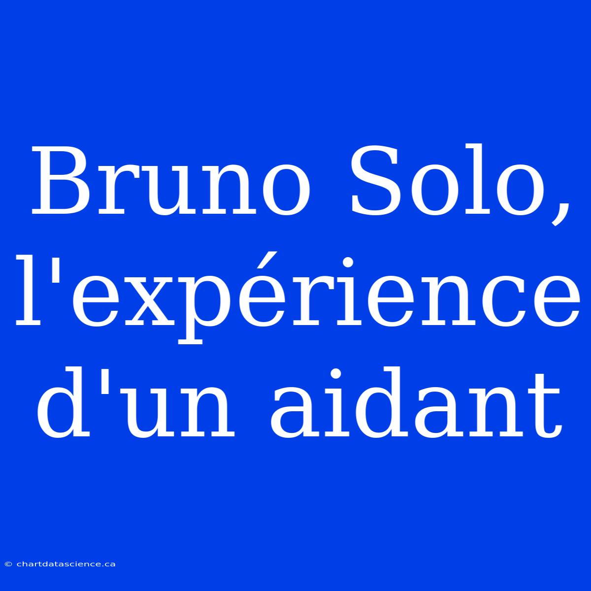 Bruno Solo, L'expérience D'un Aidant