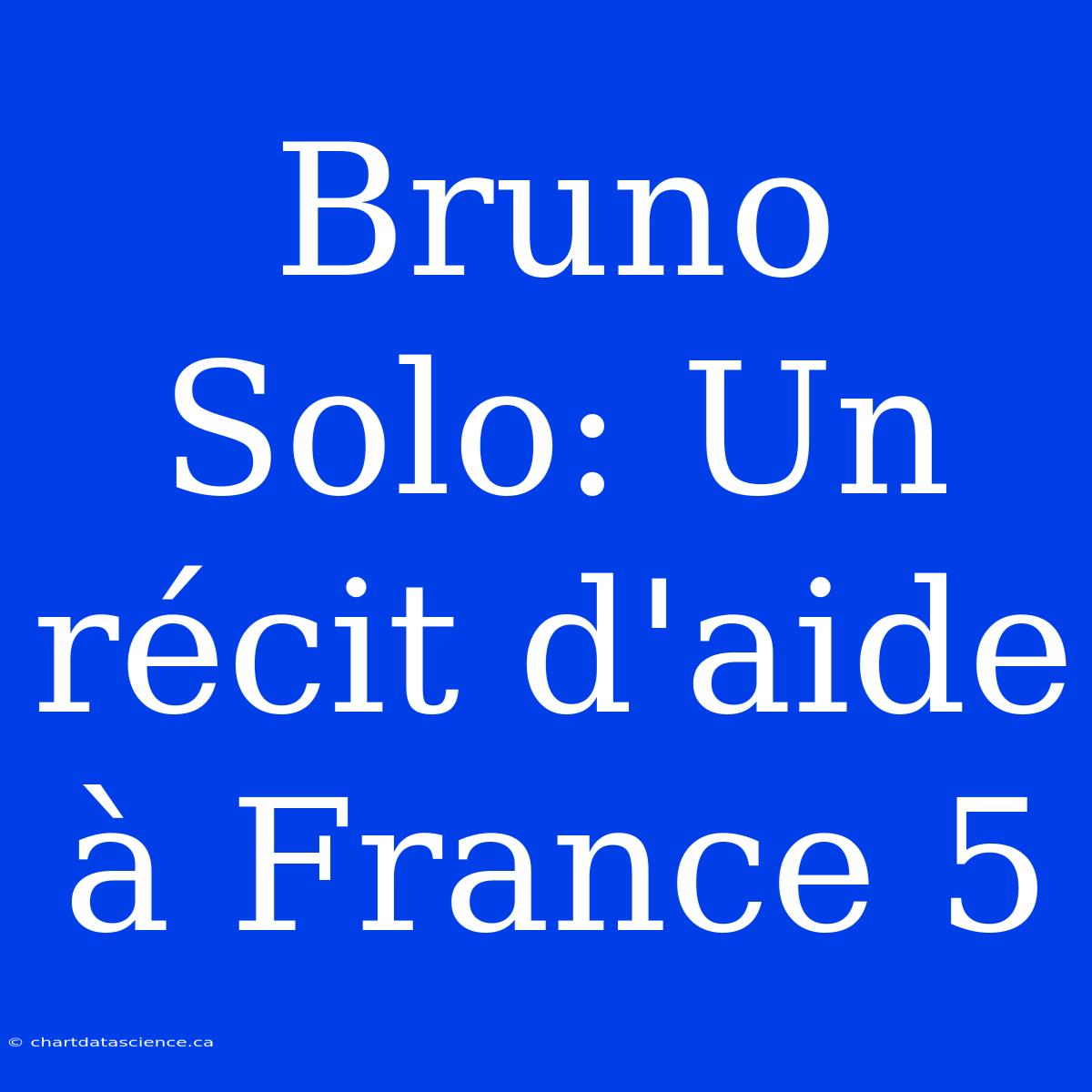 Bruno Solo: Un Récit D'aide À France 5