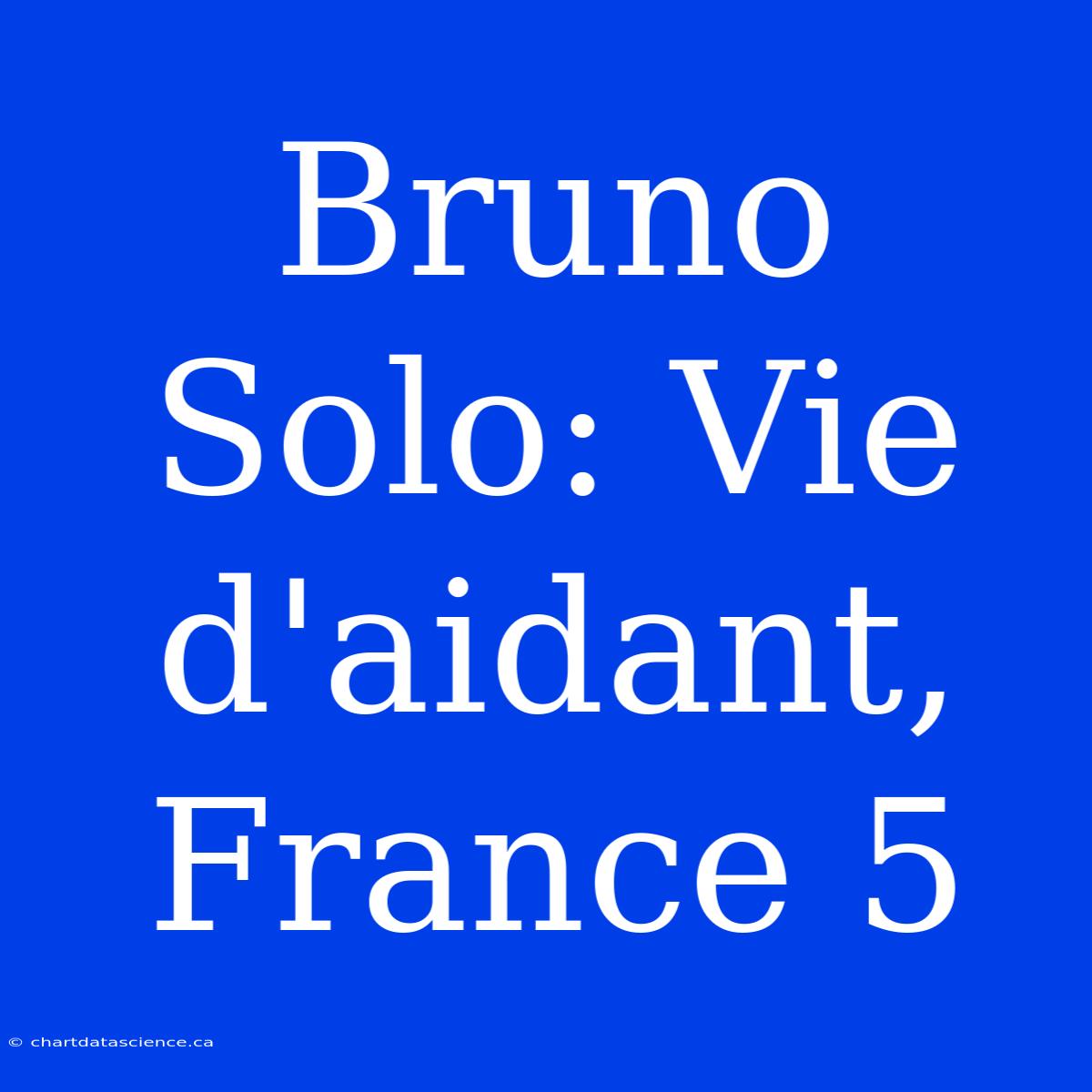 Bruno Solo: Vie D'aidant, France 5