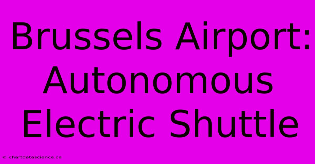 Brussels Airport: Autonomous Electric Shuttle