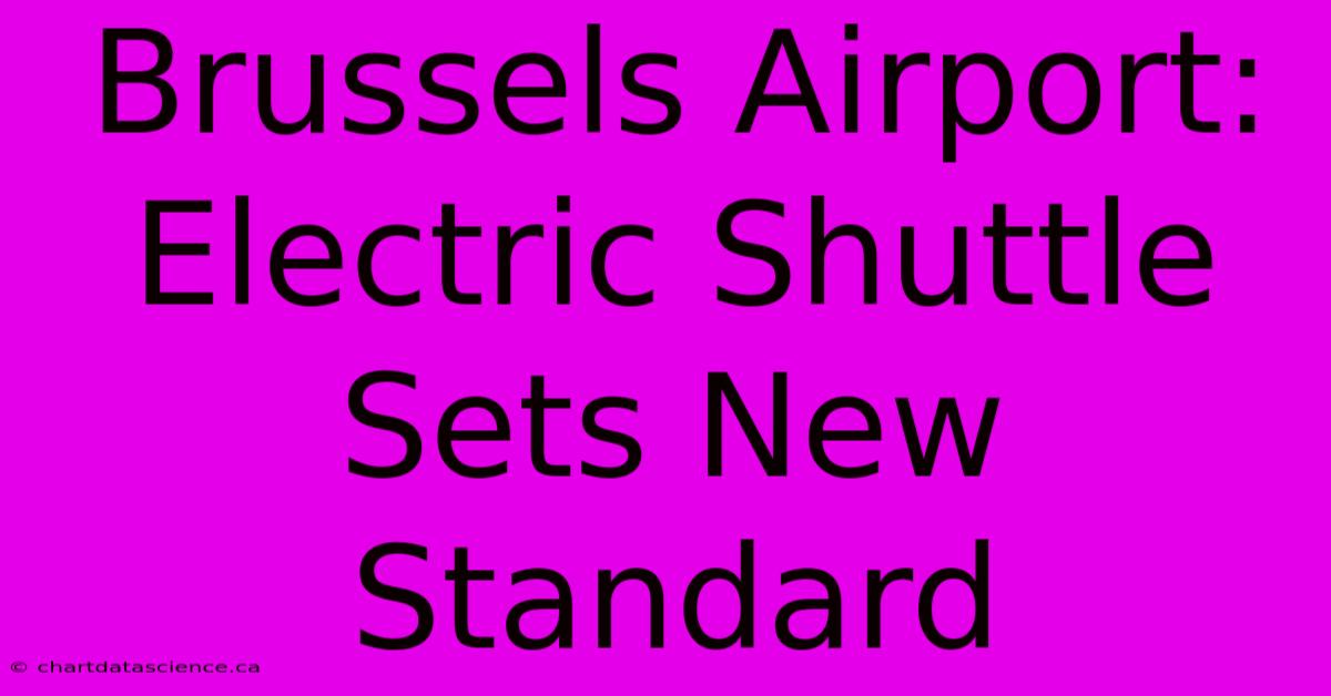 Brussels Airport: Electric Shuttle Sets New Standard