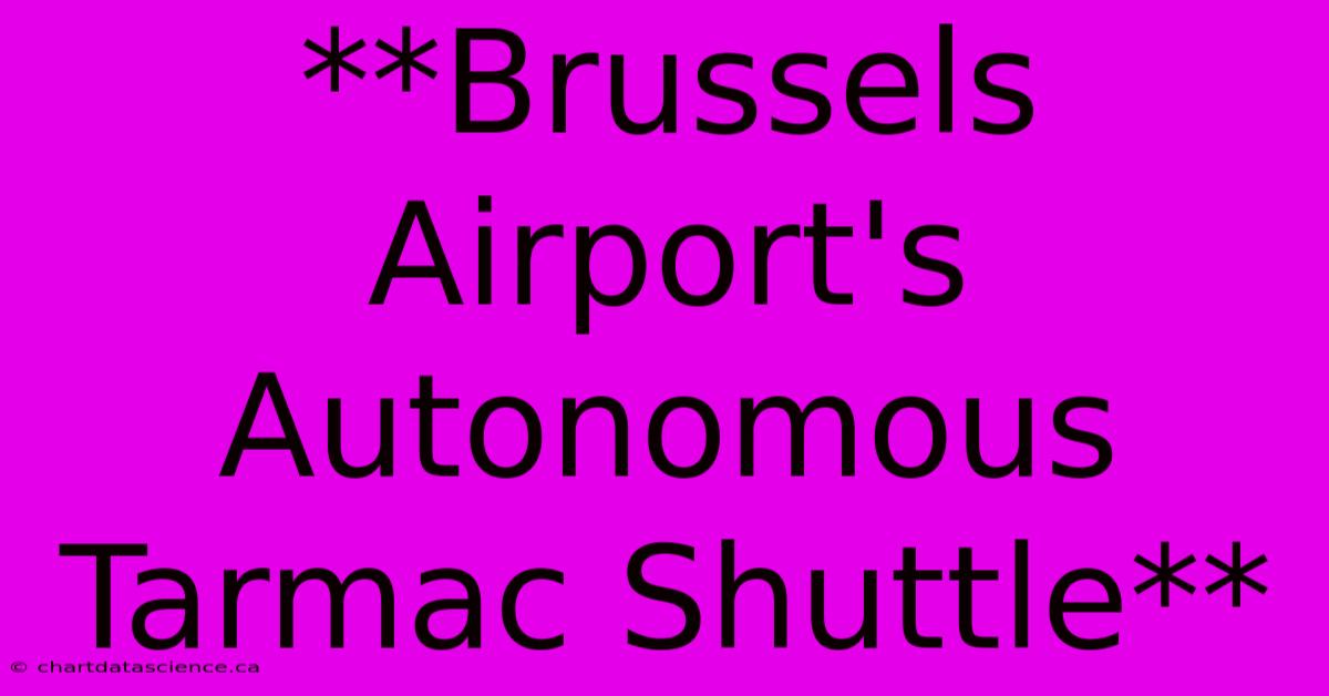 **Brussels Airport's Autonomous Tarmac Shuttle**