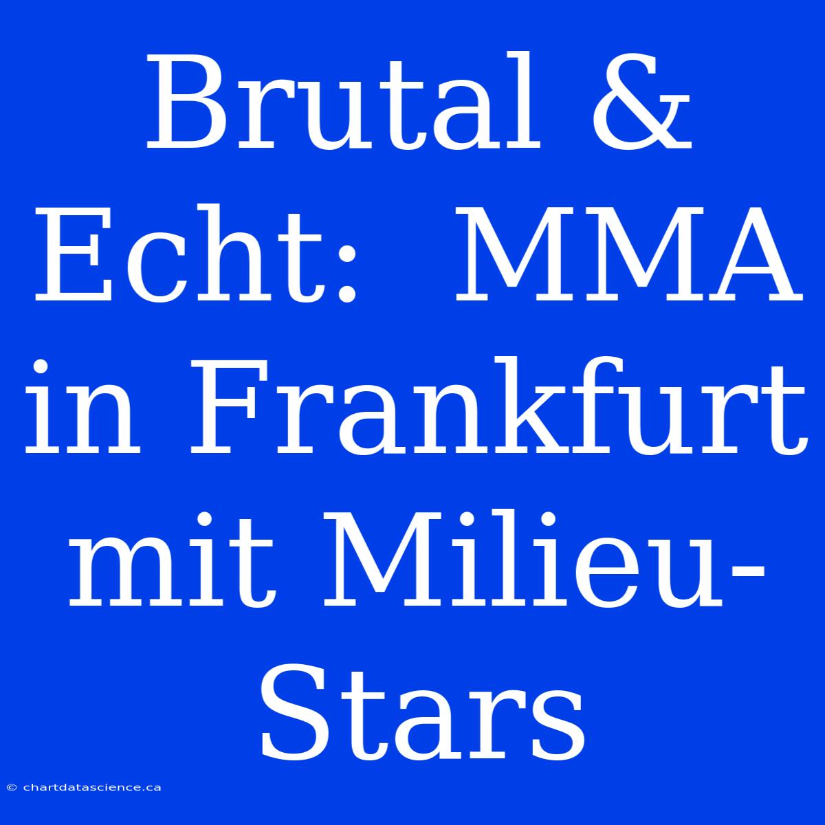 Brutal & Echt:  MMA In Frankfurt Mit Milieu-Stars