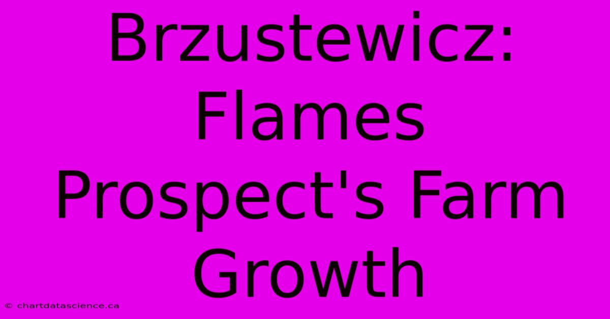 Brzustewicz: Flames Prospect's Farm Growth