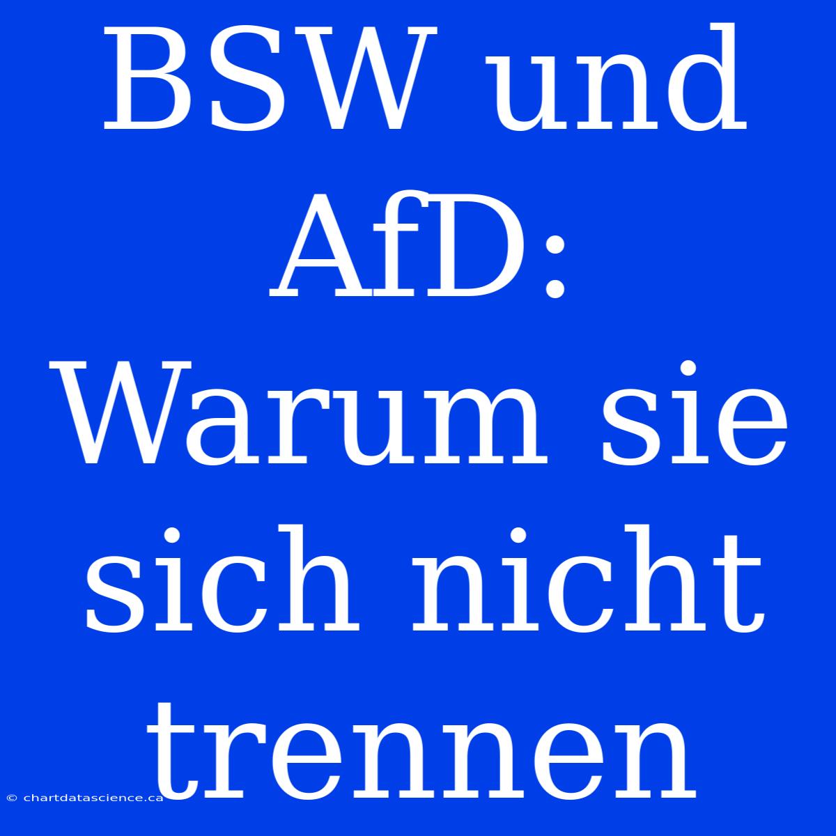 BSW Und AfD: Warum Sie Sich Nicht Trennen