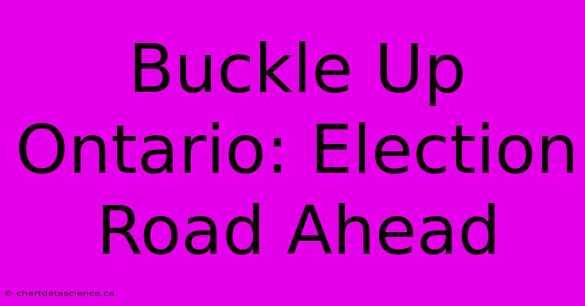 Buckle Up Ontario: Election Road Ahead