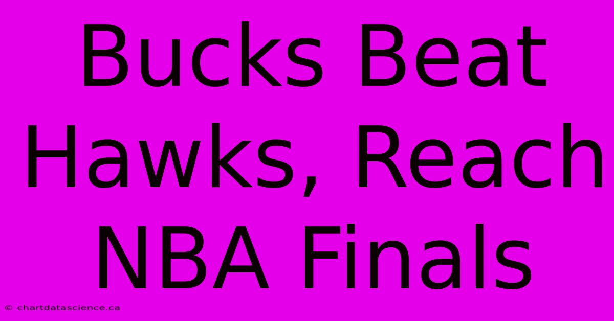 Bucks Beat Hawks, Reach NBA Finals