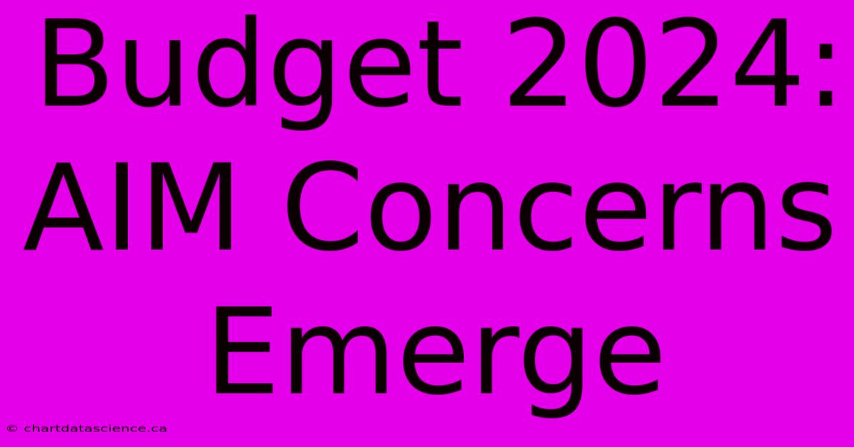 Budget 2024: AIM Concerns Emerge