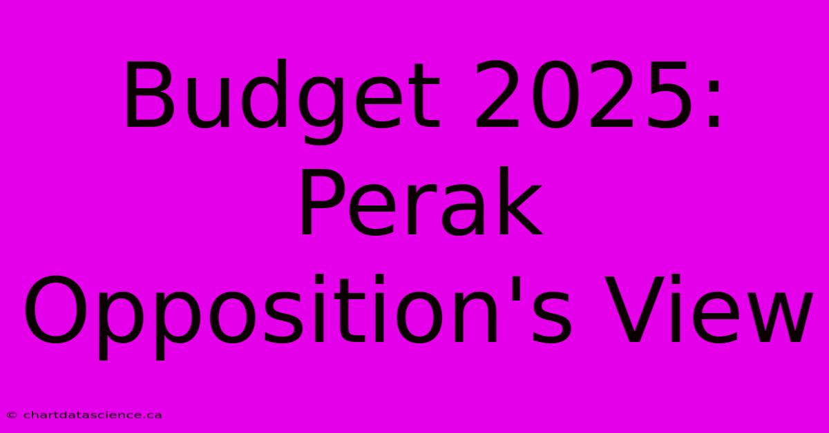 Budget 2025: Perak Opposition's View