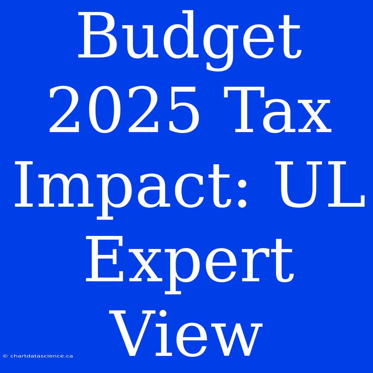 Budget 2025 Tax Impact: UL Expert View