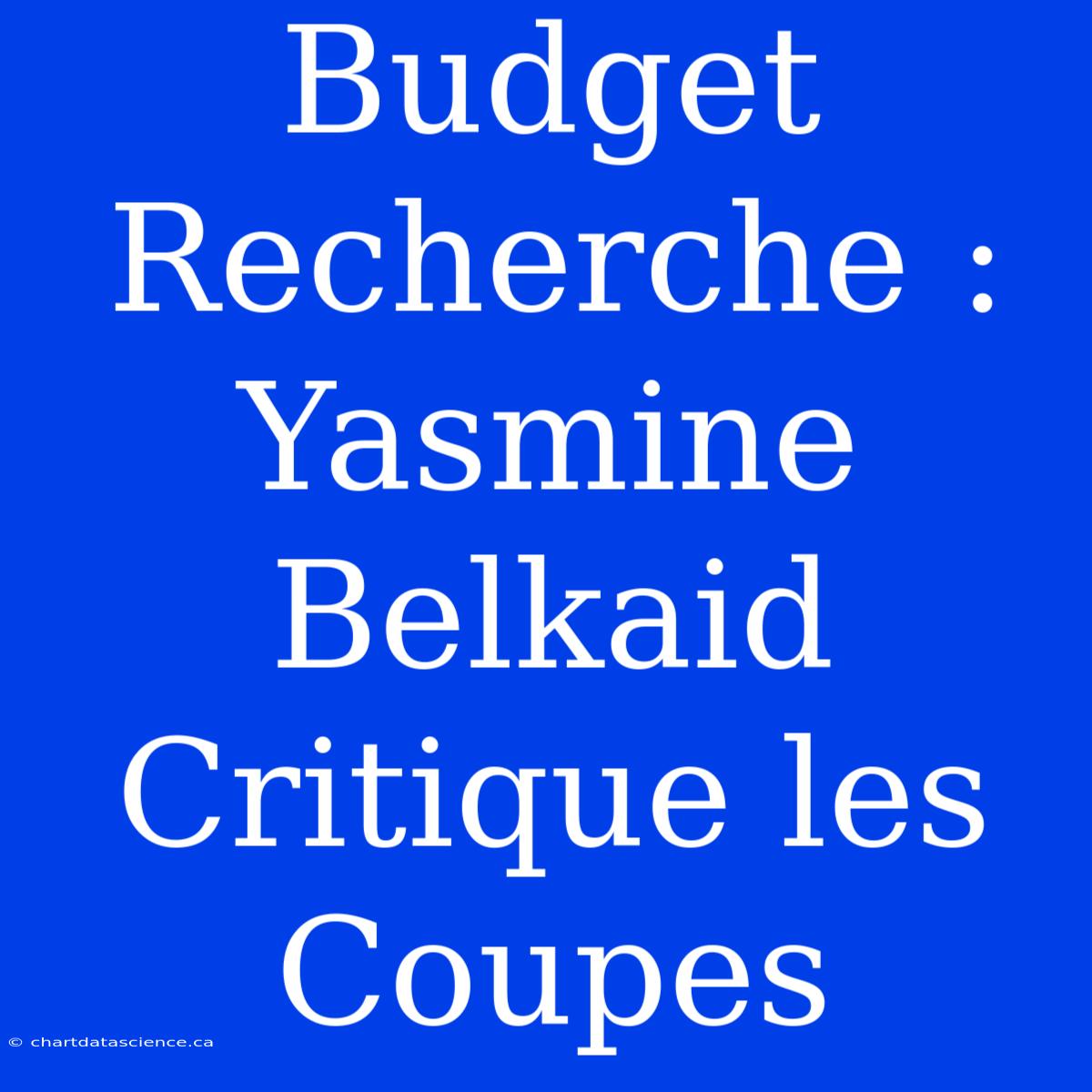 Budget Recherche : Yasmine Belkaid Critique Les Coupes