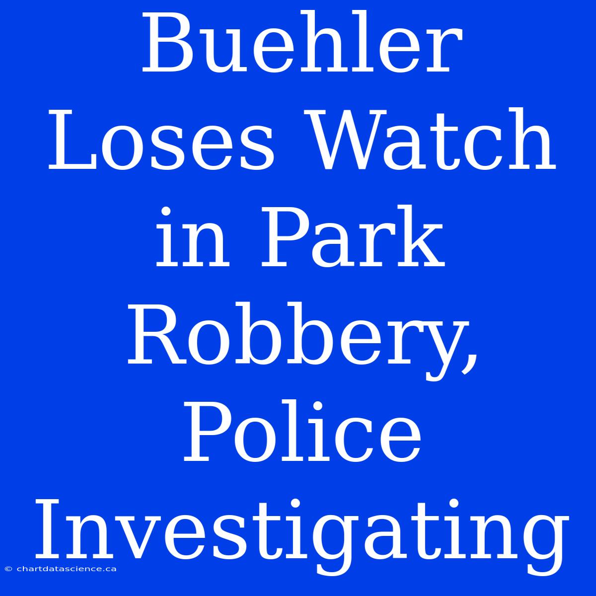 Buehler Loses Watch In Park Robbery, Police Investigating