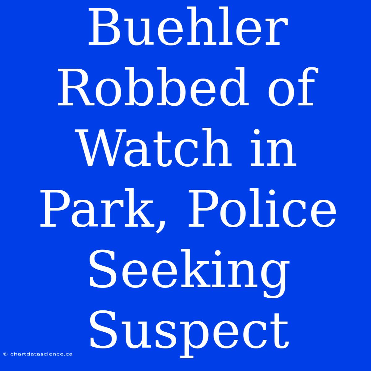 Buehler Robbed Of Watch In Park, Police Seeking Suspect