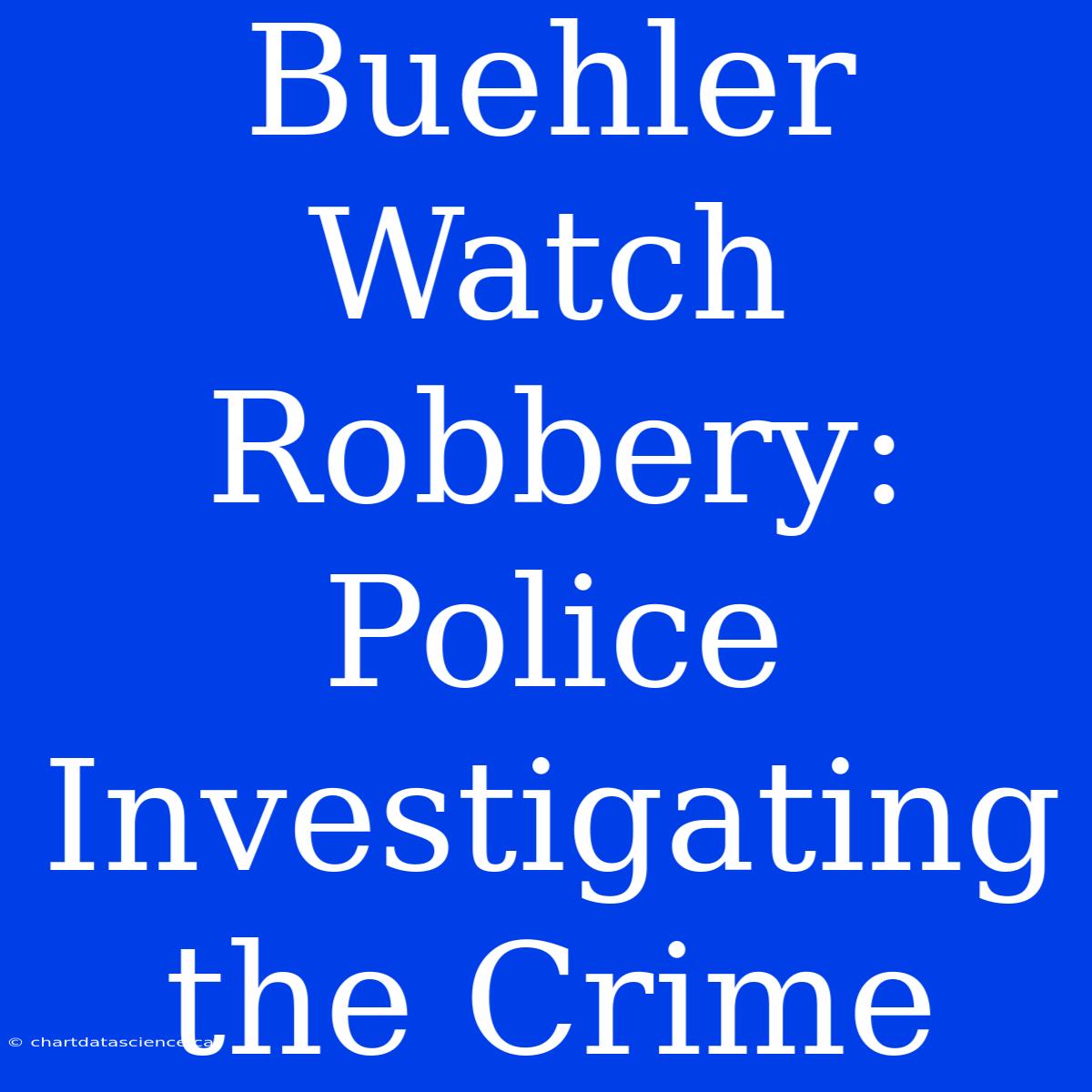 Buehler Watch Robbery: Police Investigating The Crime