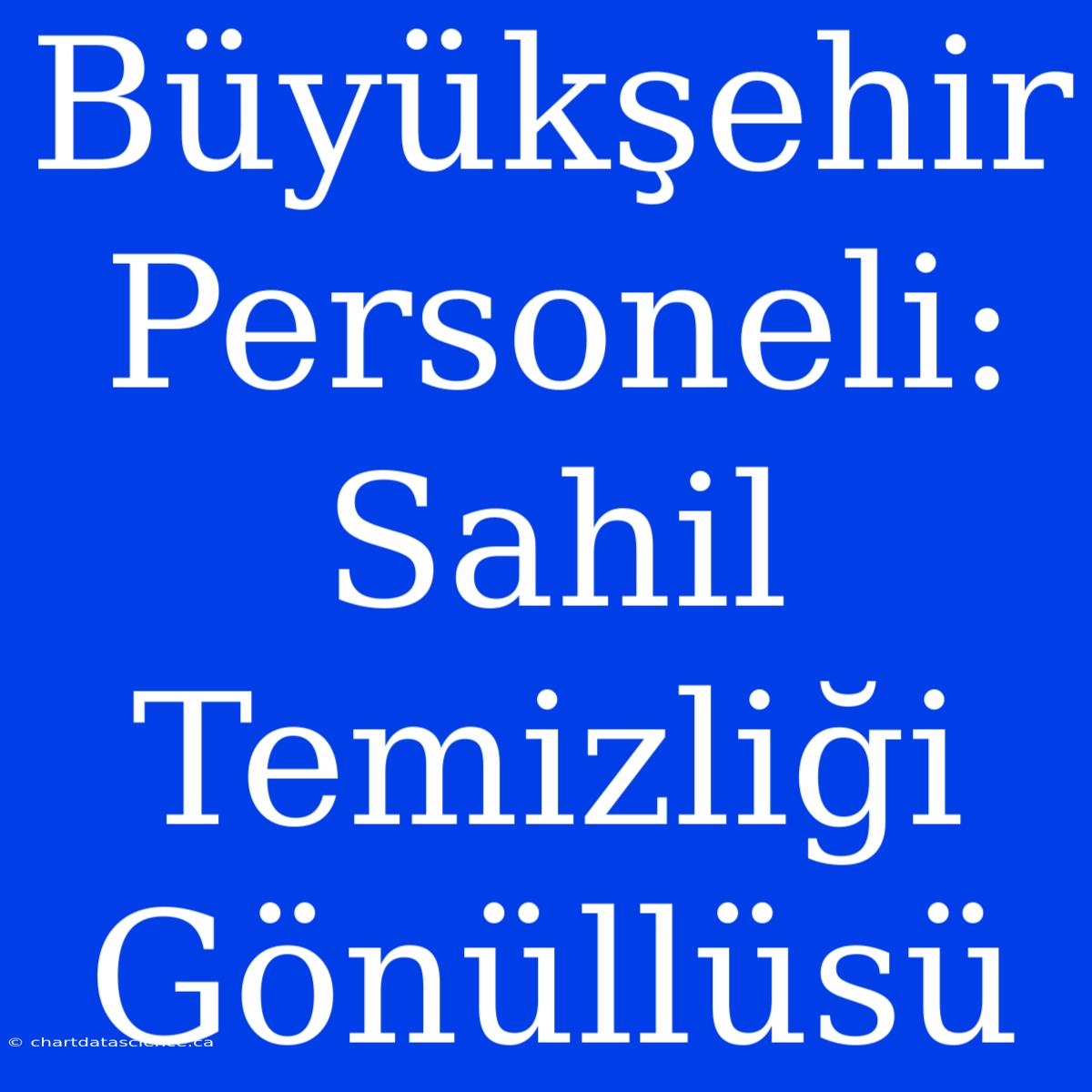 Büyükşehir Personeli: Sahil Temizliği Gönüllüsü