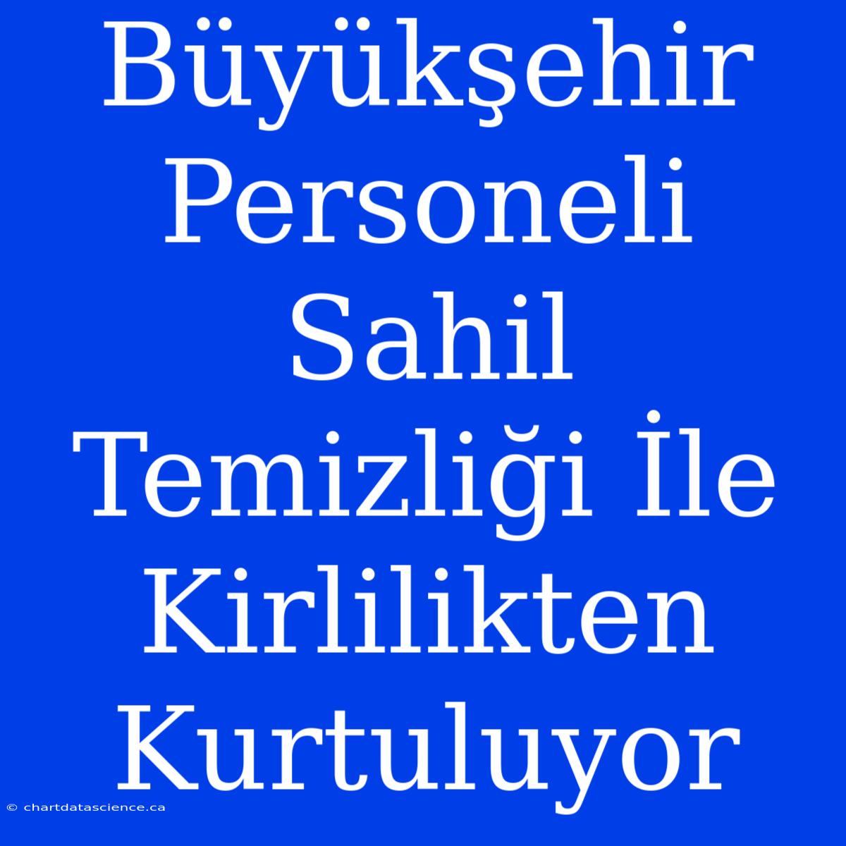 Büyükşehir Personeli Sahil Temizliği İle Kirlilikten Kurtuluyor