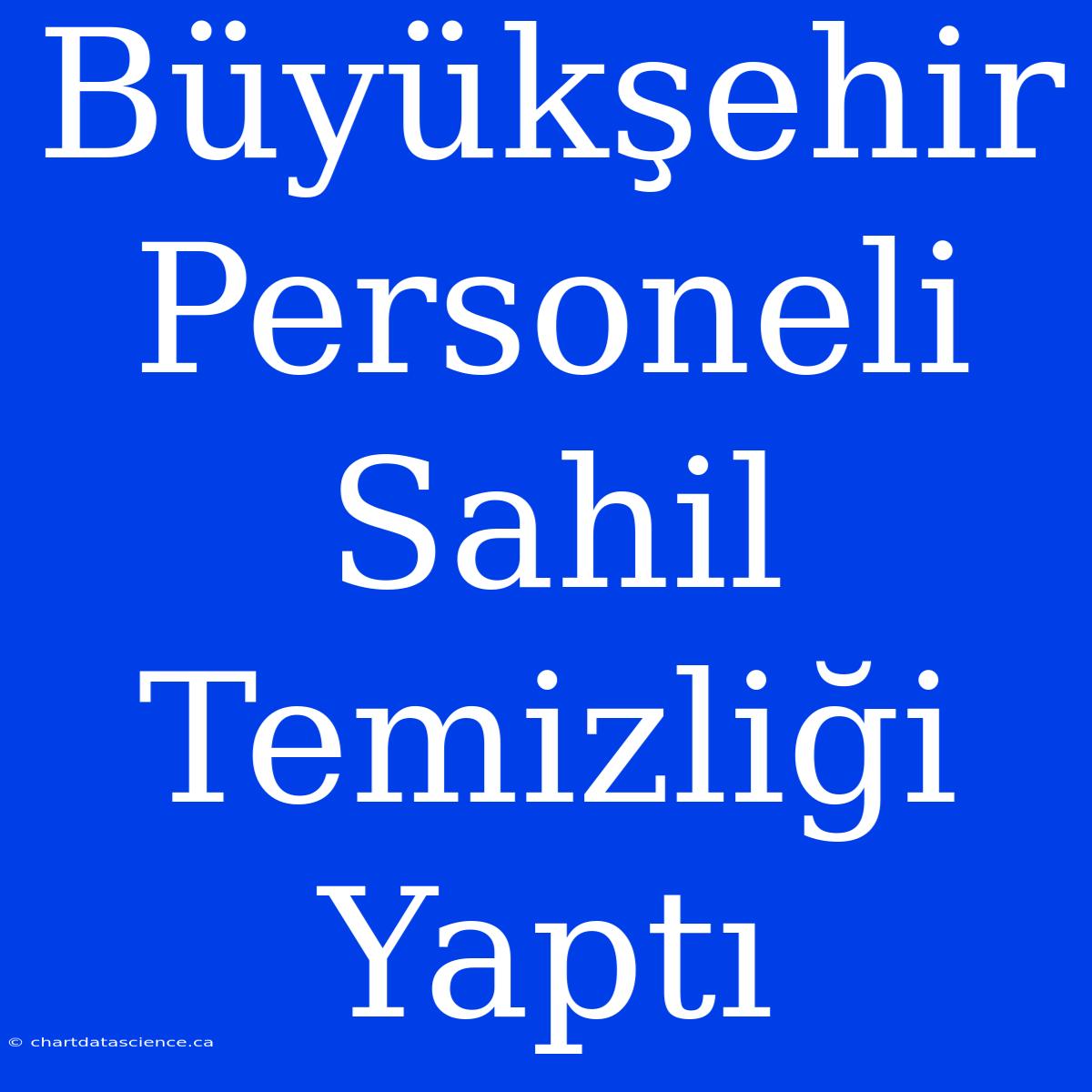 Büyükşehir Personeli Sahil Temizliği Yaptı