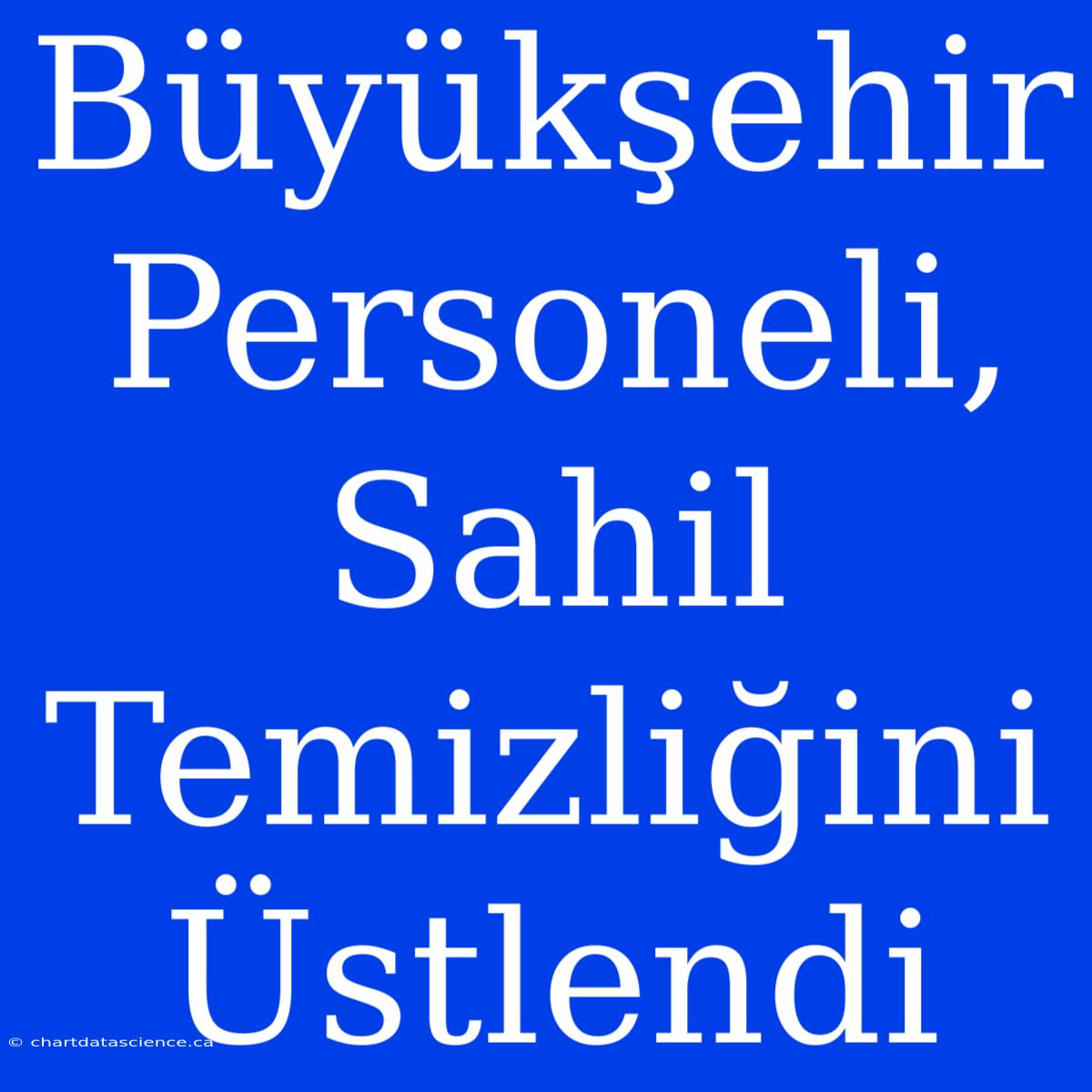 Büyükşehir Personeli, Sahil Temizliğini Üstlendi