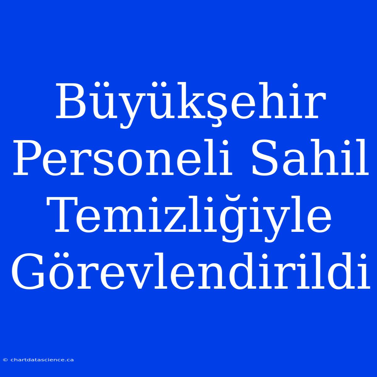 Büyükşehir Personeli Sahil Temizliğiyle Görevlendirildi