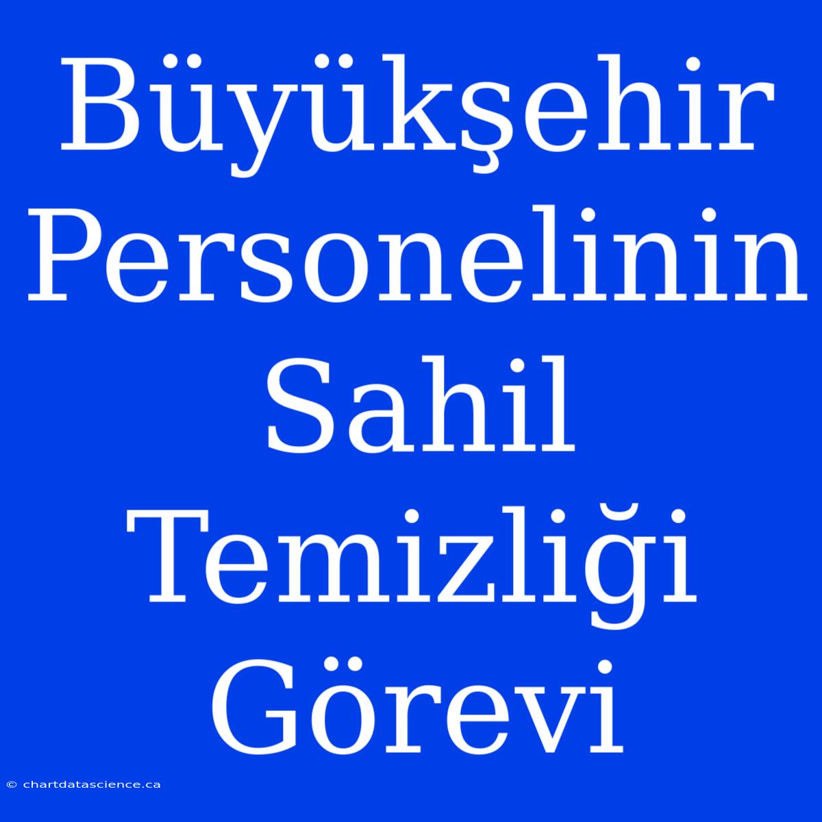 Büyükşehir Personelinin Sahil Temizliği Görevi