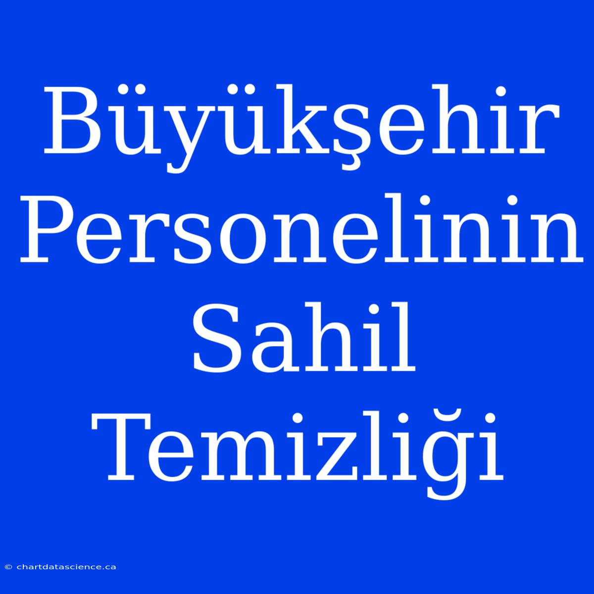 Büyükşehir Personelinin Sahil Temizliği