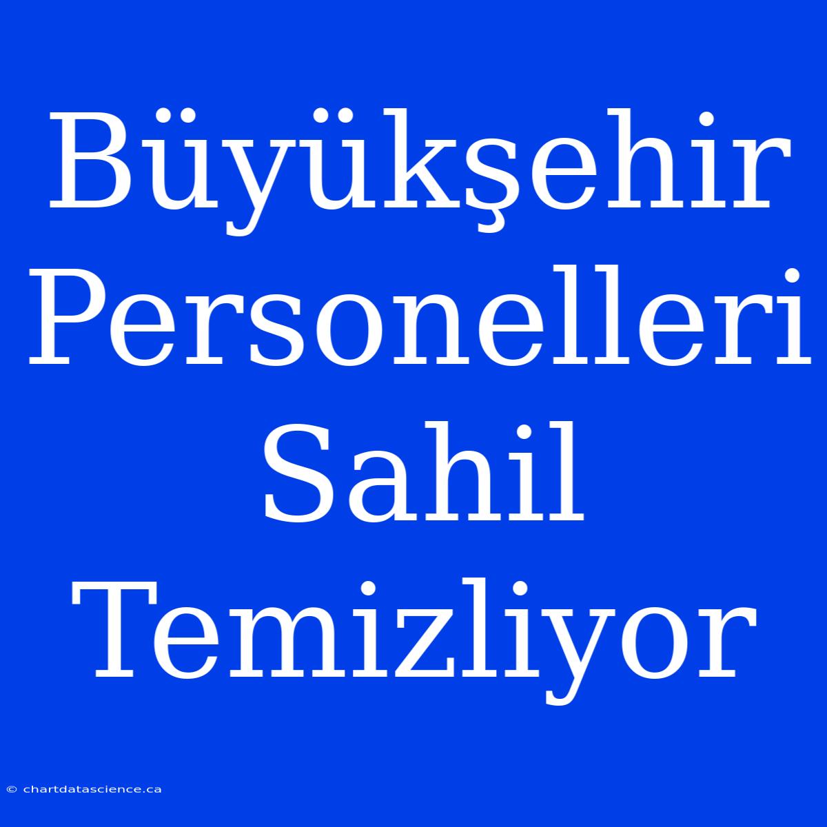 Büyükşehir Personelleri Sahil Temizliyor