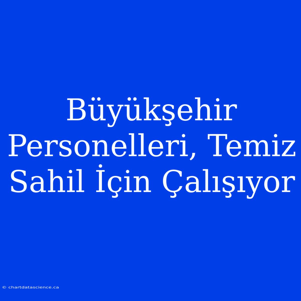 Büyükşehir Personelleri, Temiz Sahil İçin Çalışıyor