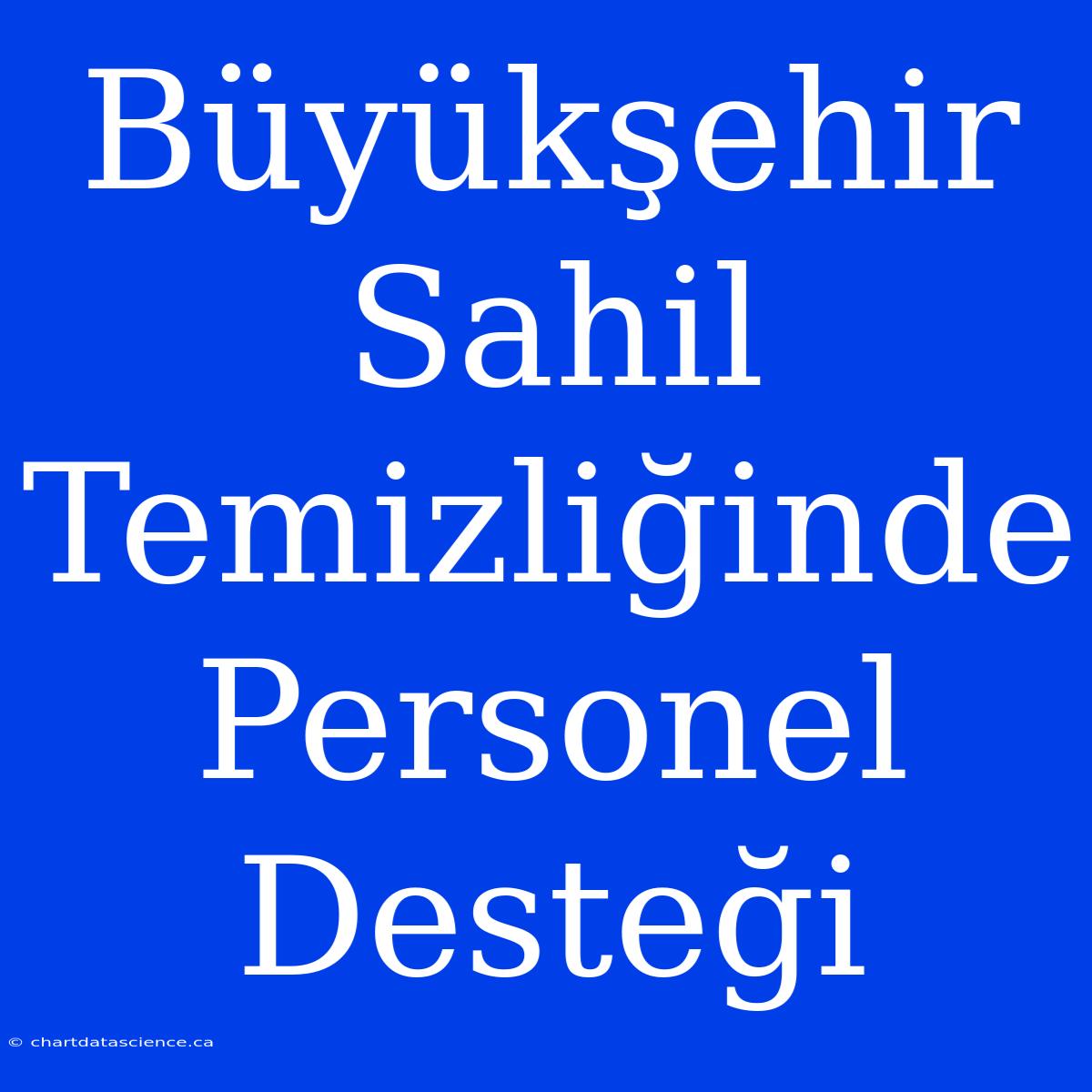 Büyükşehir Sahil Temizliğinde Personel Desteği