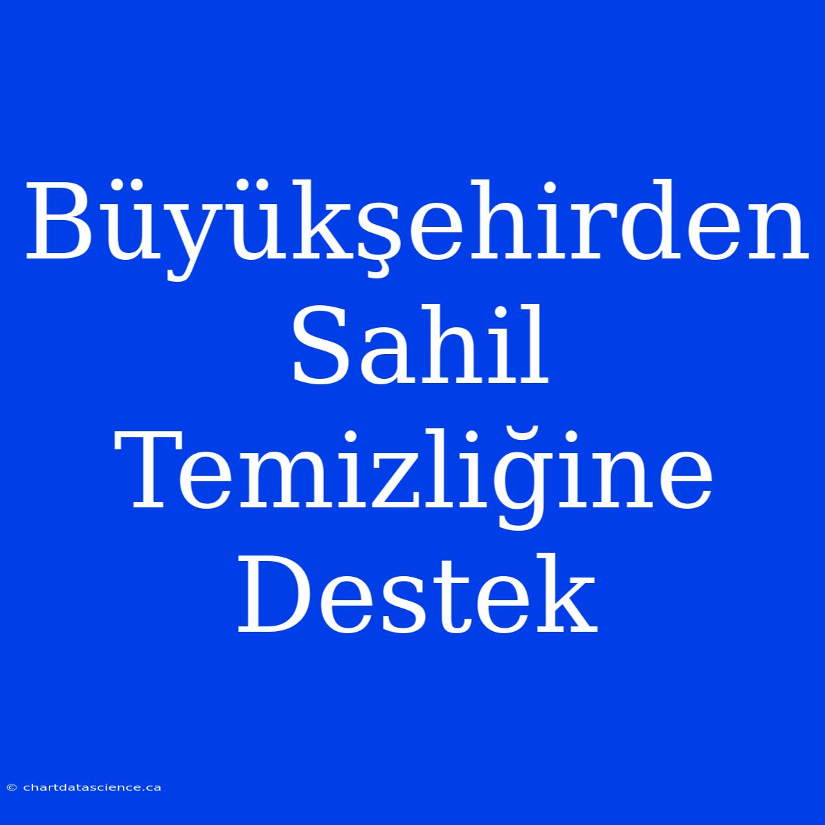 Büyükşehirden Sahil Temizliğine Destek