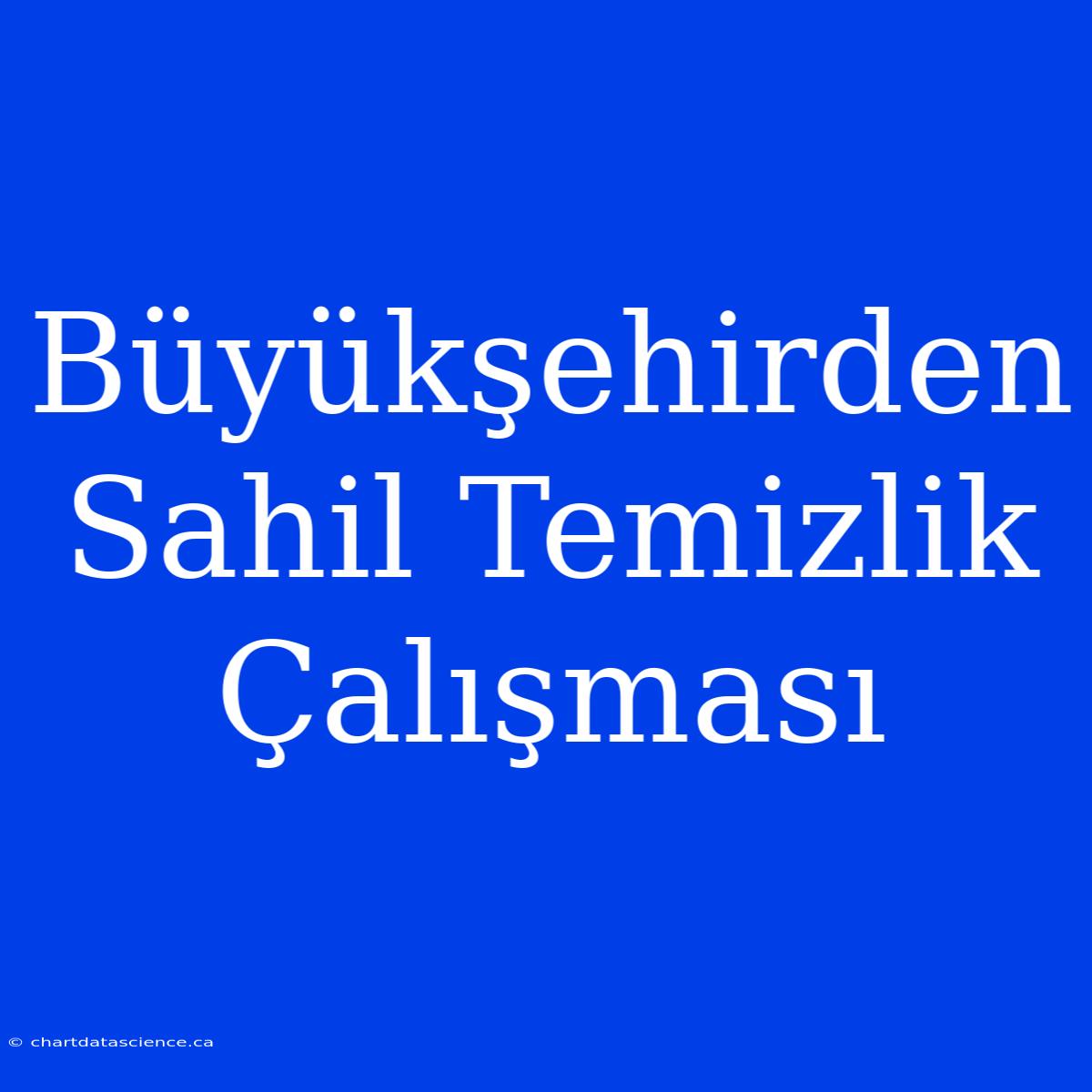 Büyükşehirden Sahil Temizlik Çalışması