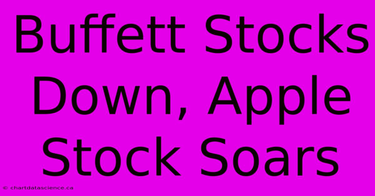 Buffett Stocks Down, Apple Stock Soars 