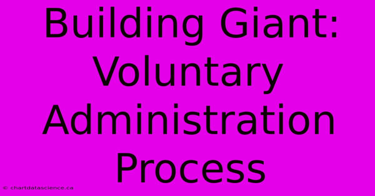 Building Giant: Voluntary Administration Process