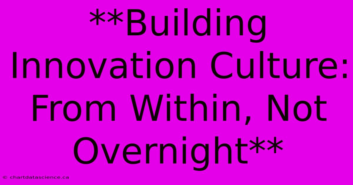 **Building Innovation Culture: From Within, Not Overnight**