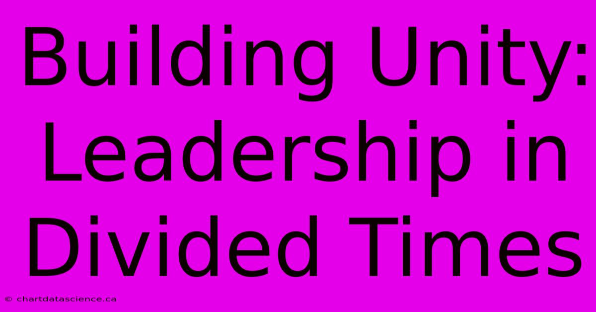 Building Unity: Leadership In Divided Times