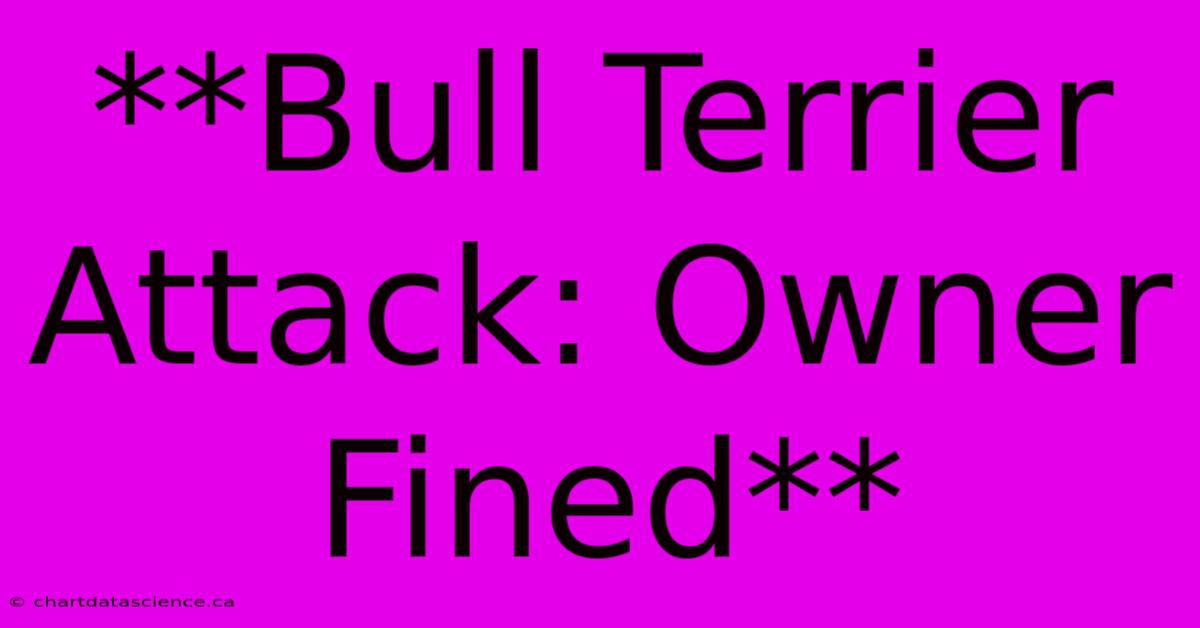 **Bull Terrier Attack: Owner Fined**