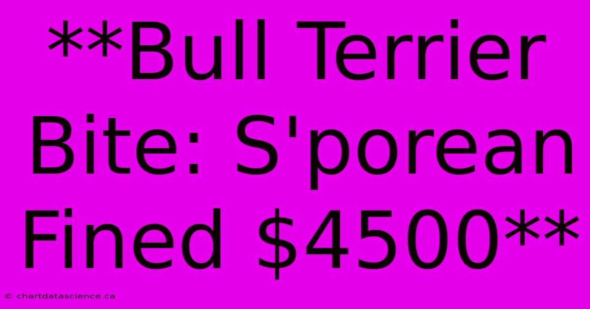 **Bull Terrier Bite: S'porean Fined $4500**