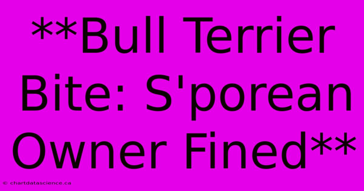 **Bull Terrier Bite: S'porean Owner Fined**