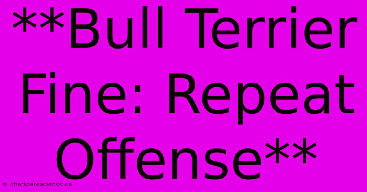 **Bull Terrier Fine: Repeat Offense**