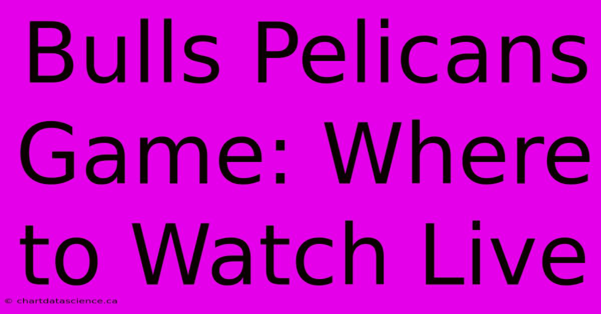 Bulls Pelicans Game: Where To Watch Live