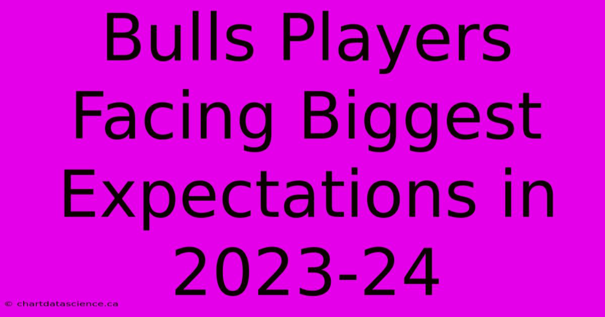 Bulls Players Facing Biggest Expectations In 2023-24