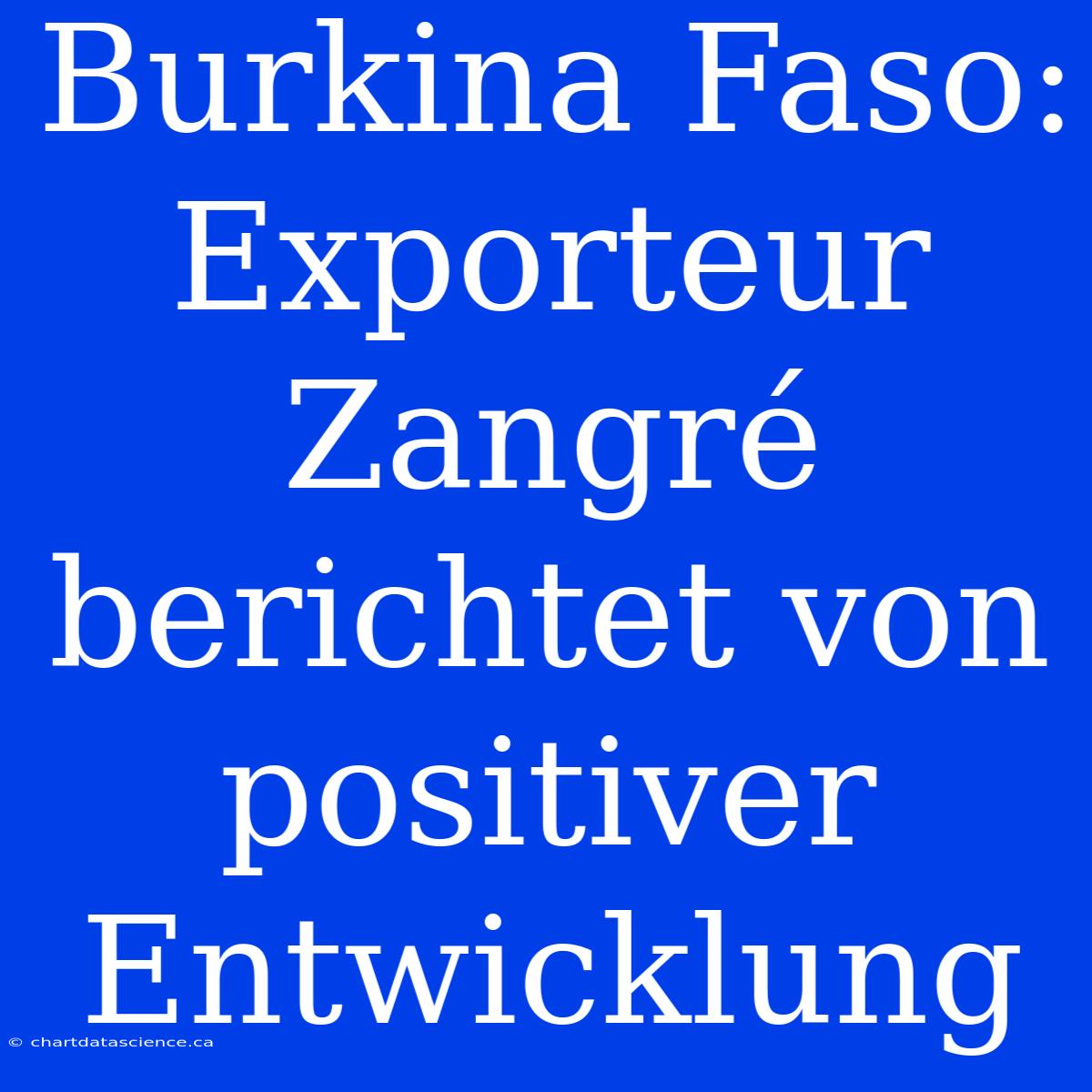 Burkina Faso: Exporteur Zangré Berichtet Von Positiver Entwicklung