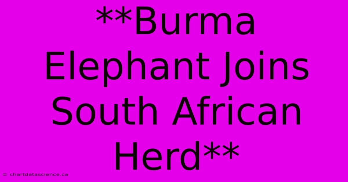 **Burma Elephant Joins South African Herd**