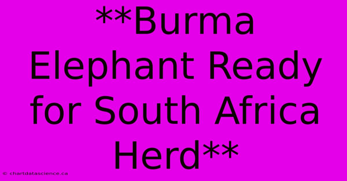 **Burma Elephant Ready For South Africa Herd**