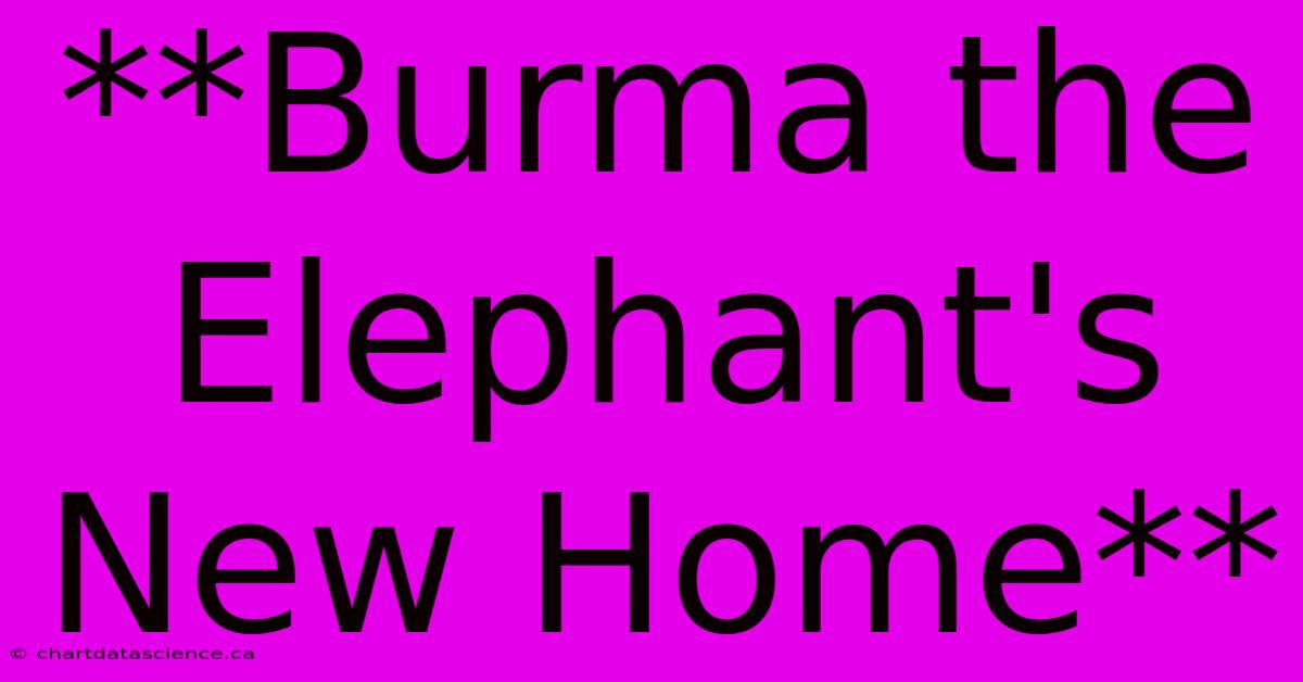 **Burma The Elephant's New Home**