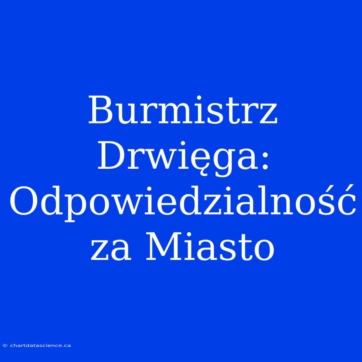 Burmistrz Drwięga: Odpowiedzialność Za Miasto