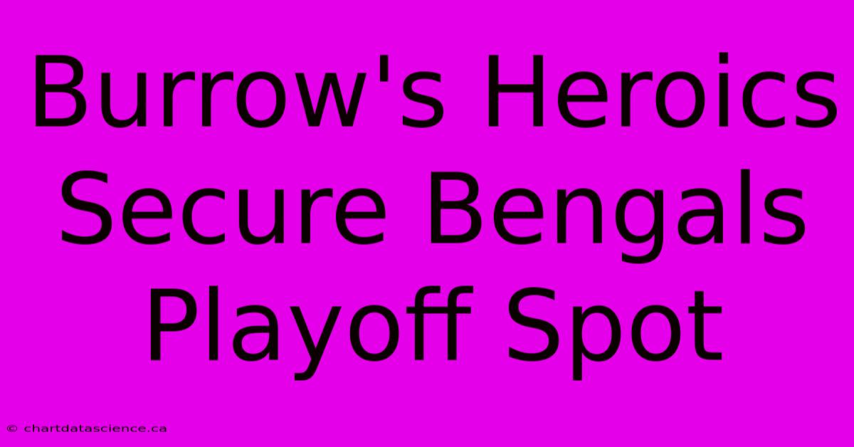 Burrow's Heroics Secure Bengals Playoff Spot