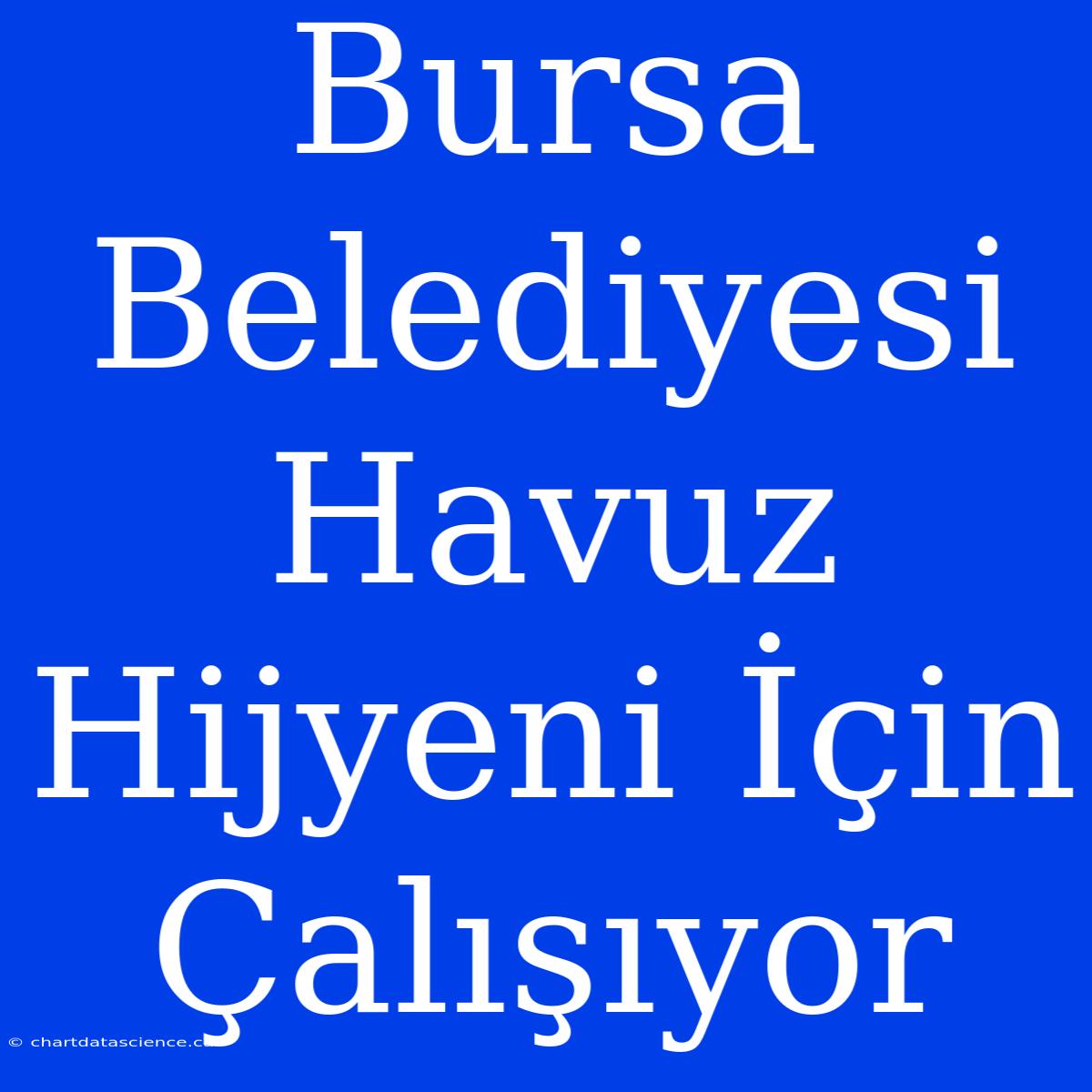 Bursa Belediyesi Havuz Hijyeni İçin Çalışıyor