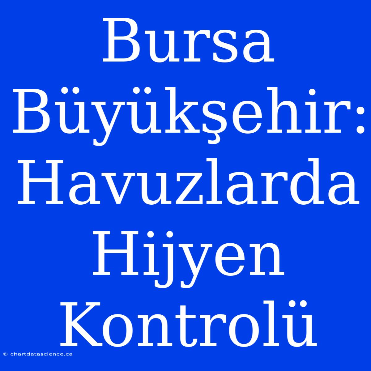 Bursa Büyükşehir: Havuzlarda Hijyen Kontrolü